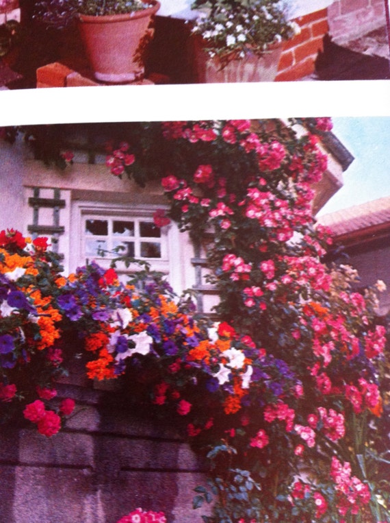 Vintage Garden Book McCall's Gardening Book 1967-68 Gretchen Fischer Harshbarger Deluxe Edition Great Colorful Pictures