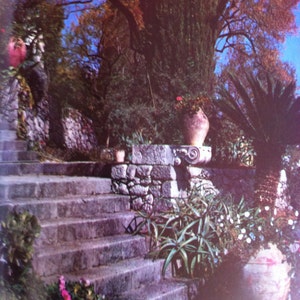 May include: A stone staircase with a stone wall and potted plants. The plants are in terracotta pots and there are green plants and flowers.