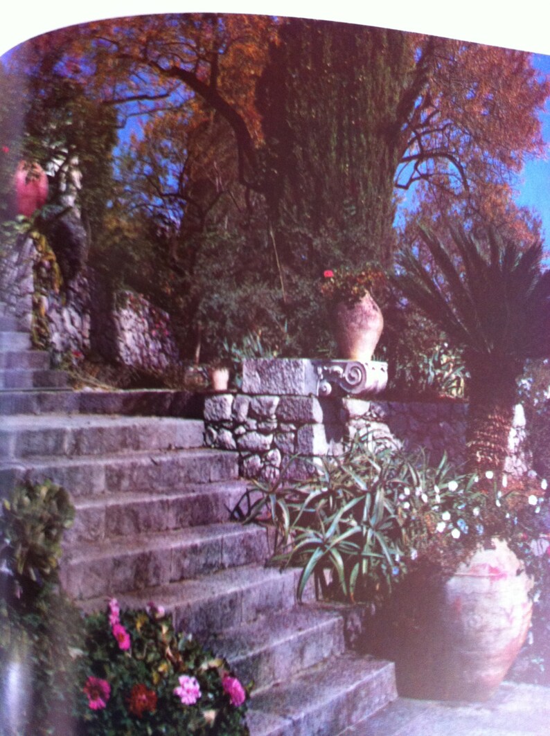 May include: A stone staircase with a stone wall and potted plants. The plants are in terracotta pots and there are green plants and flowers.