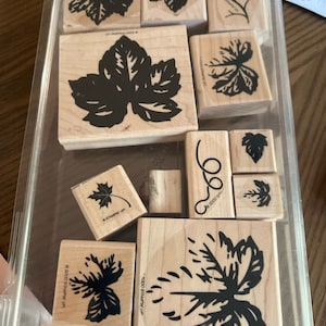 Stampin Up  Wooden Mount Rubber Stamp 13 stamps Fine Vine 2 step stamp set Leaves vines botanical stamp set 2000 Rubber stamps