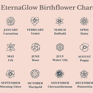 May include: A light pink chart titled "EternaGlow Birthflower Chart" with twelve floral illustrations, each representing a month. The months are listed with their corresponding birth flowers, including Carnation, Violet, Daffodil, Daisy, Lily, Rose, Water Lily, Poppy, Morning Glory, Marigold, Chrysanthemum, and Poinsettia.
