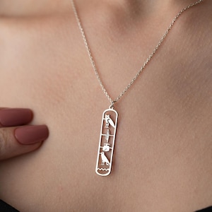 Può includere: Una collana con pendente in argento con un ciondolo rettangolare allungato con disegni ritagliati di uccelli e altri simboli. La collana è indossata intorno al collo, con il ciondolo sul petto. La catena è delicata e il pendente è dettagliato.