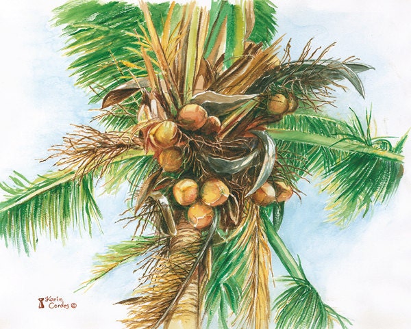 Palm Tree in Yona on Guam - Etsy
