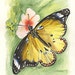 see more listings in the Butterfly's section