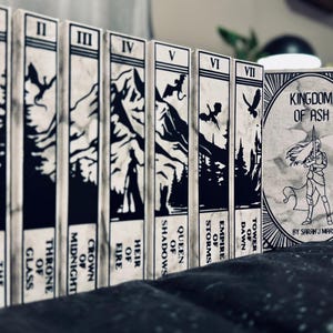 Hand Bound Throne of Glass Book Series - Artisan Book Rebinding | Throne of Glass Books | Gift for Throne of Glass Fan, Gift for Book Lover