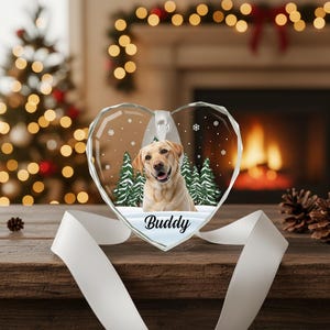 Décoration personnalisée avec photo d'animal de compagnie : monument commémoratif de chien et de chat personnalisé, verre en forme de coeur - cadeau de sympathie pour la perte d'un animal de compagnie G-P8 image 4