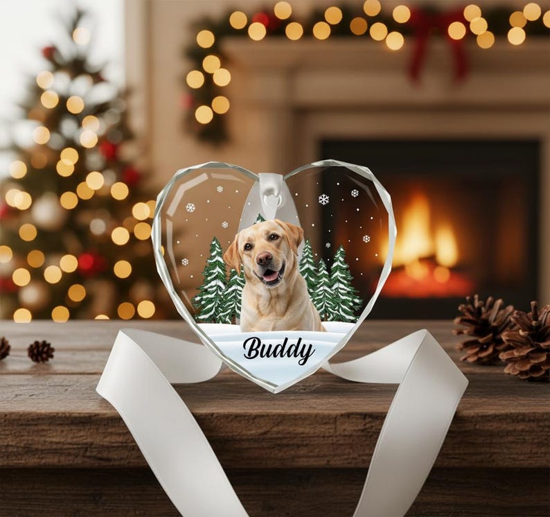 Décoration personnalisée avec photo d'animal de compagnie : monument commémoratif de chien et de chat personnalisé, verre en forme de coeur - cadeau de sympathie pour la perte d'un animal de compagnie G-P8 image 4