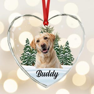 Décoration personnalisée avec photo d'animal de compagnie : monument commémoratif de chien et de chat personnalisé, verre en forme de coeur - cadeau de sympathie pour la perte d'un animal de compagnie G-P8 image 6