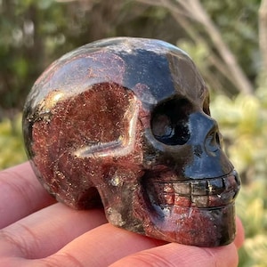 May include: A carved skull figurine with a polished, glossy finish. The skull is a mix of dark red and black, with visible details in the teeth and eye sockets. The figurine is held in a hand.