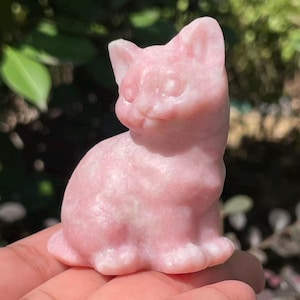 Op de afbeelding: Een roze kattenbeeldje van steen. De kat wordt afgebeeld in een zittende houding met opstaande oren. De steen heeft een gladde, gepolijste afwerking en een zachte, pastelroze tint. Het beeldje wordt in een hand gehouden.