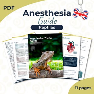 May include: A PDF guide titled "Anesthesia Guide Reptiles" featuring an iguana on the cover. The guide contains detailed information and illustrations. The document is labeled as 11 pages and includes the Vetlab Studio logo.