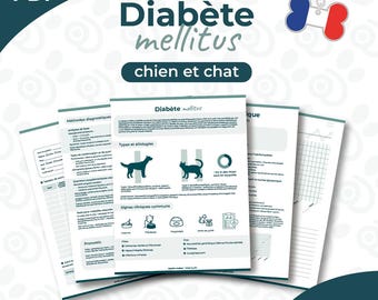 Packung – Diabetes mellitus, Blutzuckermessung, Blutzuckerkurve, Hund und Katze | Französisch