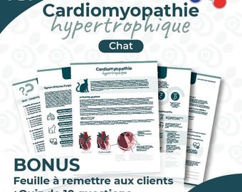 Packung – Hypertrophische Kardiomyopathie, Katze | Französisch
