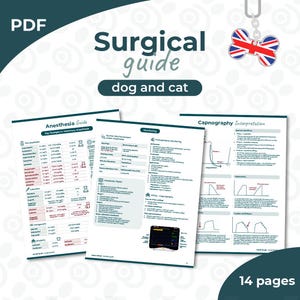 May include: A PDF surgical guide for dogs and cats. The guide covers anesthesia, monitoring, and capnography interpretation. The cover displays the text "Surgical guide dog and cat" and a Union Jack dog bone charm.