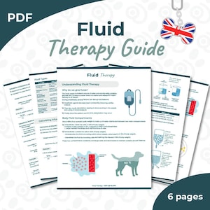 Peut inclure: Un guide PDF de "Fluidothérapie" pour vétérinaires, avec des informations détaillées sur les types de fluides, les calculs et les compartiments liquidiens corporels. Le guide comprend des schémas et du texte, avec un charme en forme d'os de chien Union Jack. 6 pages.