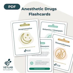 Op de afbeelding: Een stapel witte flashcards met de tekst "Anesthetic Drugs Flashcards". De kaarten bevatten informatie over verschillende medicijnen, waaronder Acepromazine, Ketamine/Diazepam en Dexamethason. Het Vetlab Studio-logo is zichtbaar.