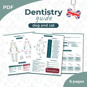 Può includere: Una guida PDF di odontoiatria per cani e gatti. La guida include grafici dentali, terminologia e diagrammi di strumenti odontoiatrici. La copertina presenta il testo "Dentistry guide dog and cat". Un portachiavi Union Jack è appeso in alto.