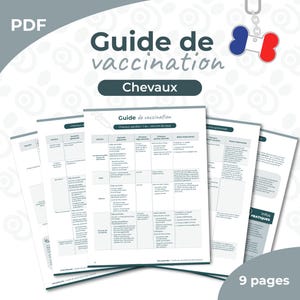 Protocolli di vaccinazione equina – Guida clinica (puledri, cavalle gravide e cavalli adulti) | Solo in francese