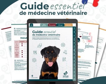 Interaktiver PDF-Leitfaden für das Veterinärmedizinstudium | Anästhesie, Pharmakologie, Tiergesundheit, Notizen für Veterinärtechniker | Französisch
