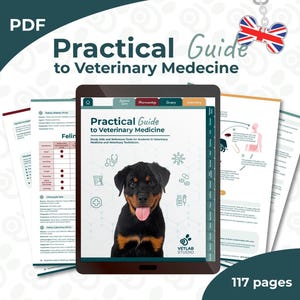 Interactive Vet Med Study Guide PDF | Vet Tech Notes, VTNE Prep