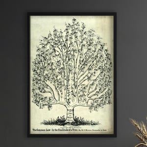 May include: Black framed print of a tree diagram, titled "The Common Law - In the Similitude of a Tree." The illustration is in black and white, with detailed branches and leaves. The print is displayed on a dark gray wall.