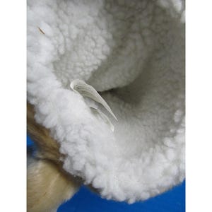 Copritesta per mazza da golf in peluche a forma di carlino Winning Edge Designs 2004, adatto per driver da 460 cc immagine 8