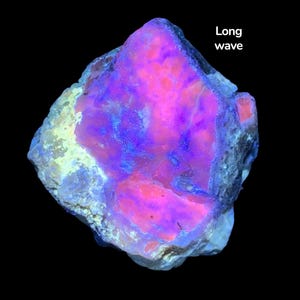 May include: A glowing mineral specimen with a vibrant display of colors. The rock features a mix of pink, purple, and blue hues, with the text "Long wave" visible. The mineral is set against a black background.