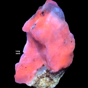 May include: A vibrant, glowing pink mineral specimen against a black background. The rock formation has a textured surface with areas of orange and blue hues. The words "Long wave" are visible in the image.