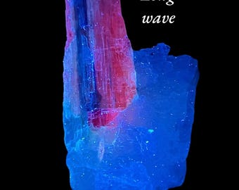 Könnte beinhalten: Ein Mineralpräparat mit einem lebendigen Farbverlauf. Der obere Teil hat einen rötlich-rosa Farbton, der an der Basis in Blau übergeht. Der Text "Long wave" ist in Weiß sichtbar. Der Hintergrund ist schwarz.