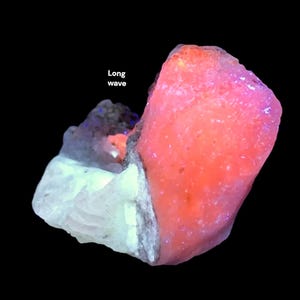 May include: A close-up of a mineral specimen with a vibrant color palette. The main portion is a bright coral-red hue, transitioning to a lighter pink. A section of the mineral is a pale, almost glowing, white. The words "Long wave" are in the image.