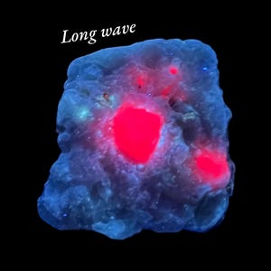 Könnte beinhalten: Ein blau leuchtendes Mineral mit leuchtend roten Bereichen. Der Text "Long wave" ist oben zu sehen. Die Oberfläche des Gesteins ist rau und strukturiert, vor schwarzem Hintergrund. Ein auffälliges geologisches Exemplar.