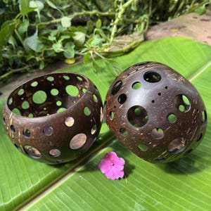 Puede incluir: Dos cuencos artesanales de cáscara de coco marrón oscuro con numerosos recortes circulares. Uno es redondo, el otro ovalado. Una pequeña flor rosa descansa sobre una gran hoja verde, con follaje en el fondo.
