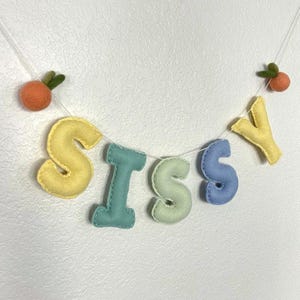 Guirnalda con nombre personalizada, guirnalda con nombre de fieltro, banderín con nombre de bebé, guirnalda con nombre personalizada para guardería y baby shower, banderín con nombre de fieltro personalizado