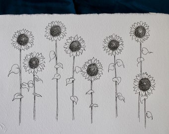 Pen and Ink, Sunflower drawing, original art, illustration, botanical, farmhouse decor, wall art, wildflowers, garden, summer art