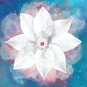 White Clematis Illustration, Printable Wall Art, 8x10 & 5x7 Digital Print, Instant Download