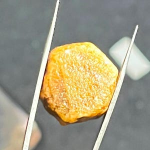 Natural Yellow Sapphire Raw Crystal | Untreated Record Keeper Specimen | Uncut Gemstone for Collection & Display