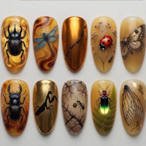 Könnte beinhalten: Zehn ovale Kunstnägel mit Insektenmotiven. Die Designs umfassen Käfer, eine Libelle, Ameisen, einen Marienkäfer, einen Schmetterling, eine Gottesanbeterin und einen Glühwürmchen. Die Nägel weisen Gold-, Braun- und Grüntöne auf.