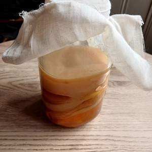 Peut inclure: Un bocal en verre transparent rempli d'un liquide brun clair et d'une culture SCOBY épaisse, beige et stratifiée. Le dessus du bocal est recouvert d'un morceau de tissu blanc tissé fixé autour du bord, tombant sur les côtés du récipient en verre.