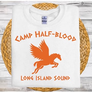 Percy Jackson-tröja, Camp Half Blood-tröja, matematiktröja, Camp Jupiter-tröja, söt campingtröja, tröja med hjältarna från Olympen