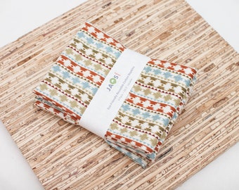 Large Cloth Napkins - Set of 4 - (N4850) - Native Stripes Modern Reusable Fabric Napkins