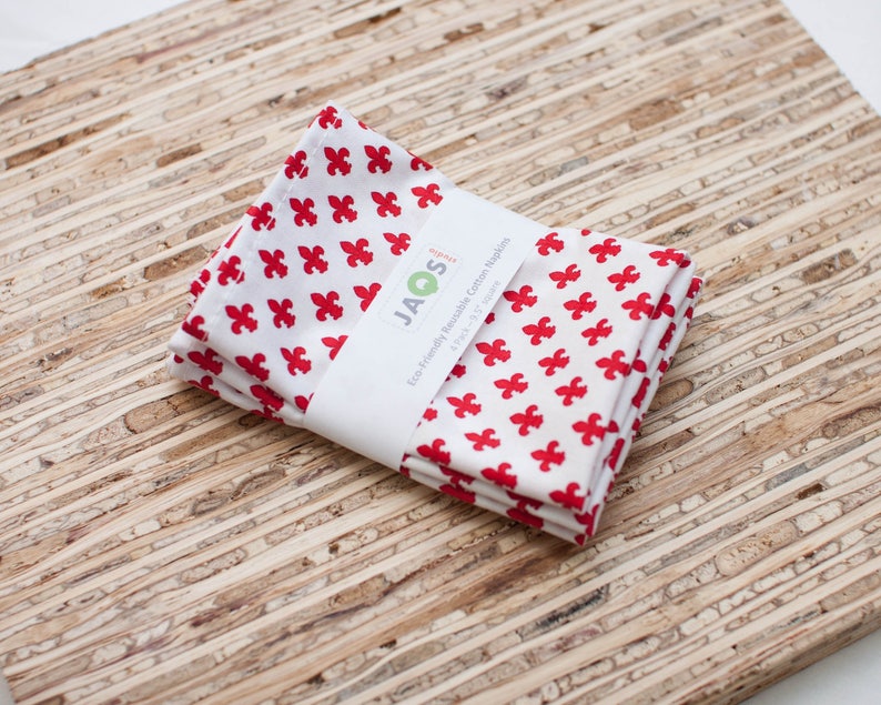 N3430s - Red Petite Fleur Modern Reusable Fabric Napkins Small Cloth Napkins Set of 4 -