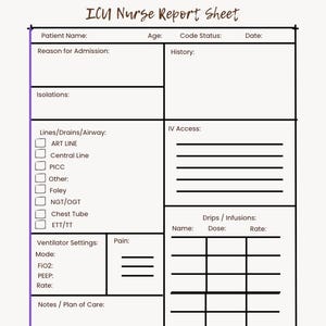 ICU Nurse Report Blatt