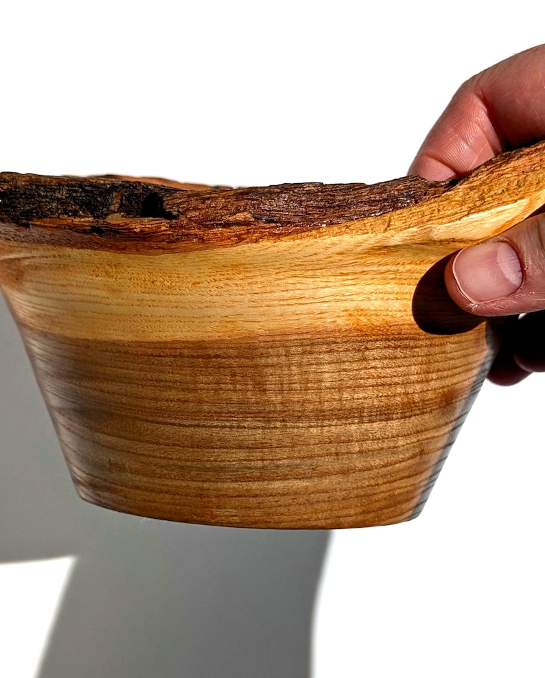 K&ouml;nnte beinhalten: Eine handgefertigte Holzschale mit einem nat&uuml;rlichen, rauen Rindenrand. Das Innere der Schale weist eine glatte, hellfarbige Holzmaserung auf, die an der Basis in ein dunkleres, sattes Braun &uuml;bergeht. Die Schale wird von einer Hand gehalten, die ihre organische Form zeigt.