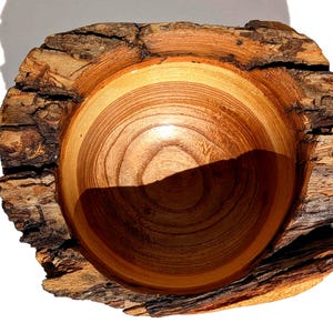 K&ouml;nnte beinhalten: Handgefertigte Holzschale mit nat&uuml;rlicher Kante. Das Innere der Schale ist warmbraun mit sichtbarer Holzmaserung, w&auml;hrend die Au&szlig;enseite eine raue, strukturierte Rinde aufweist. Ein einzigartiges Dekorationsst&uuml;ck.