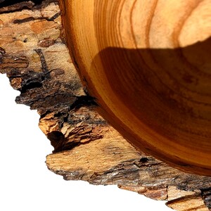 K&ouml;nnte beinhalten: Nahaufnahme einer Holzschale mit nat&uuml;rlichem Rand. Das Innere der Schale zeigt konzentrische Kreise aus hell- und dunkelbrauner Holzmaserung. Der raue, strukturierte Rindenrand kontrastiert mit dem glatten Inneren und erzeugt eine rustikale &Auml;sthetik.