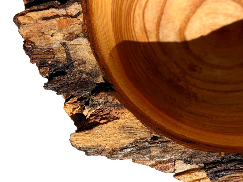 K&ouml;nnte beinhalten: Nahaufnahme einer Holzschale mit nat&uuml;rlichem Rand. Das Innere der Schale zeigt konzentrische Kreise aus hell- und dunkelbrauner Holzmaserung. Der raue, strukturierte Rindenrand kontrastiert mit dem glatten Inneren und erzeugt eine rustikale &Auml;sthetik.