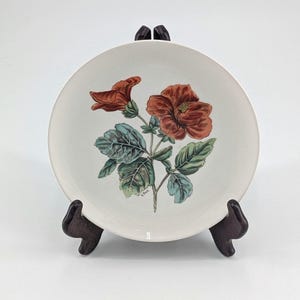 May include: A round, off-white ceramic plate featuring a central botanical illustration of two reddish-brown hibiscus flowers with green leaves. The artist signature L. Ball is visible near the stem. The plate is displayed on a dark brown stand.