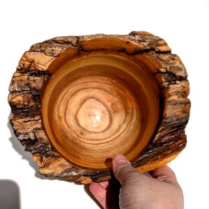 K&ouml;nnte beinhalten: Eine handgefertigte Holzschale mit nat&uuml;rlichem Rand. Das Innere der Schale ist hellbraun mit sichtbarer Holzmaserung, w&auml;hrend die Au&szlig;enseite eine raue, strukturierte Rinde aufweist. Die Schale wird von einer Hand vor wei&szlig;em Hintergrund gehalten.