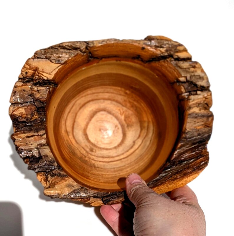 K&ouml;nnte beinhalten: Eine handgefertigte Holzschale mit nat&uuml;rlichem Rand. Das Innere der Schale ist hellbraun mit sichtbarer Holzmaserung, w&auml;hrend die Au&szlig;enseite eine raue, strukturierte Rinde aufweist. Die Schale wird von einer Hand vor wei&szlig;em Hintergrund gehalten.