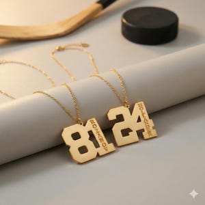 May include: Two gold-colored necklaces with pendant numbers 81 and 24. The number 81 has the name ROZANOV engraved vertically. The number 24 has the name HOLLANDER engraved vertically. A hockey stick and puck are in the background.